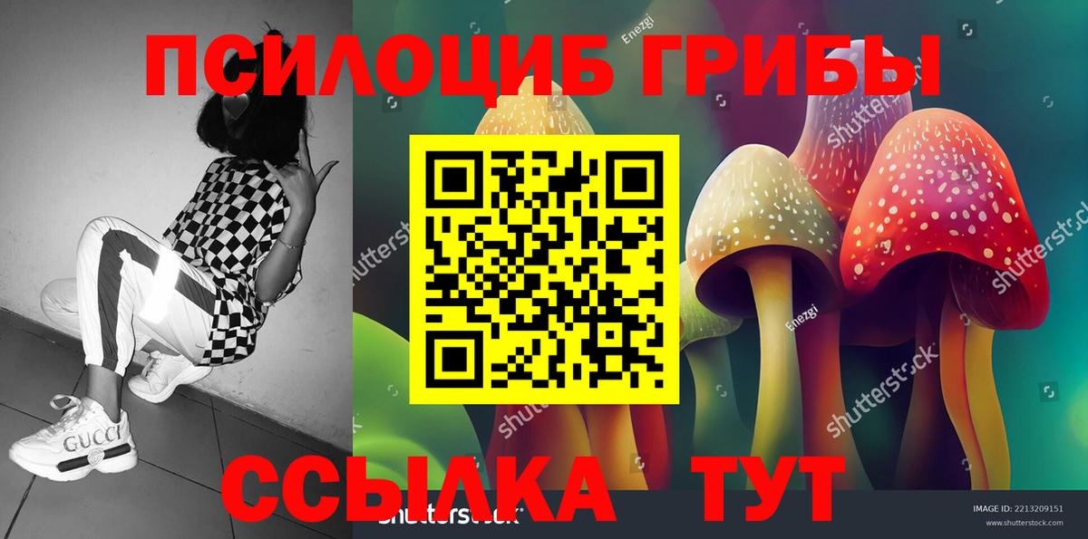 Галлюциногенные грибы GOLDEN TEACHER  хочу наркоту  Новокубанск  Вход с VPN 